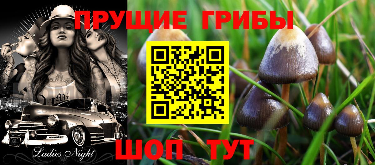 Псилоцибиновые грибы Cubensis  Вход с VPN  наркошоп  Нижнеудинск 